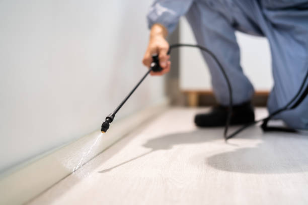Licensed Termite Control service in Pinehurst, ID - Nex Pest Control