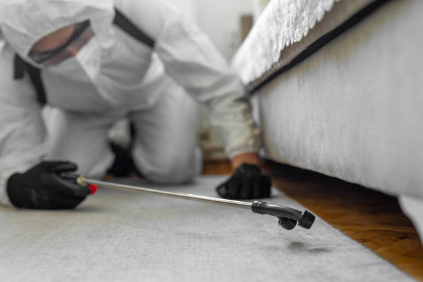 Professional Termite Control technician working in Pinehurst, ID