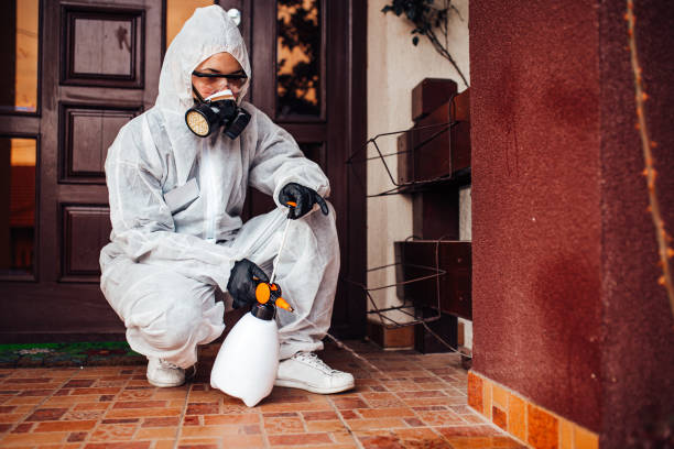 Reliable Termite Control contractor in Pinehurst, ID by Nex Pest Control