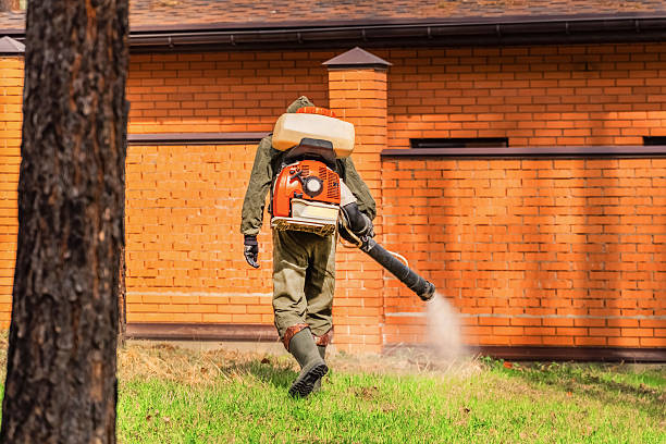 Top rated local Termite Control specialists in Pinehurst, ID